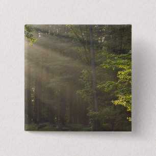 Chapa Cuadrada Árboles junto a 7 Lakes Drive, Harriman, NY