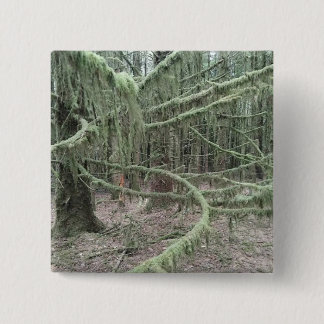 Chapa Cuadrada Árboles Musgosos En Bosque Galés 2025