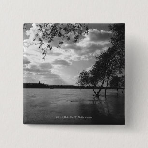 Chapa Cuadrada Árboles por el lago B&W