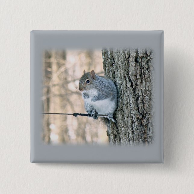 Chapa Cuadrada ardilla gris - Sciurus carolinensis (Anverso)