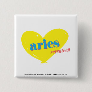Chapa Cuadrada Aries 3