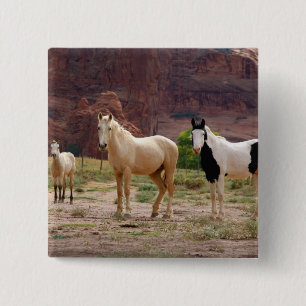 Chapa Cuadrada Arizona, Reserva India Navajo, Chinle,