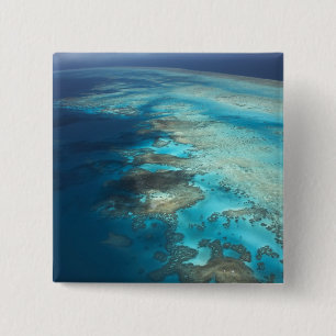 Chapa Cuadrada Arlington Reef, Great Barrier Reef Marine Park,