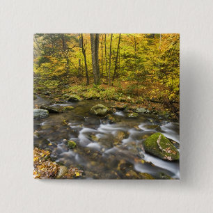 Chapa Cuadrada Arroyo Sanderson. Bosque estatal Chester-Blanford.