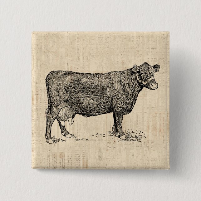 Chapa Cuadrada Arte de Country Cow ilustrado (Anverso)