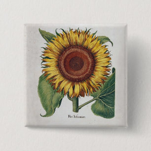 Chapa Cuadrada Arte de Flor de Damasco Vintage Girasol