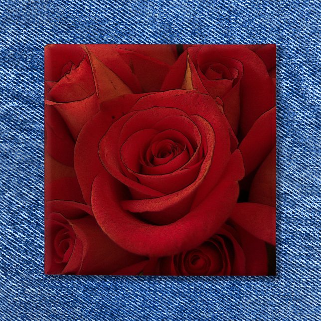 Chapa Cuadrada Arte fotográfico de la rosa roja (Red Rose Photo Art Button Square Shape
)