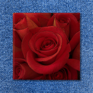 Chapa Cuadrada Arte fotográfico de rosa roja