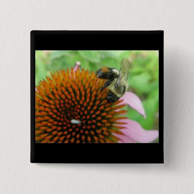 Chapa Cuadrada Artículos de Abeja de Carpintero Oriental (Anverso)