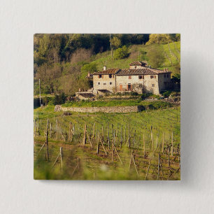 Chapa Cuadrada Aschuito, una granja que acepta clientes,