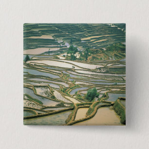 Chapa Cuadrada Asia, China. Terrazas de arroz inundadas cerca de