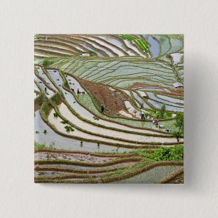 Chapa Cuadrada Asia, China, Yunnan, Jinping. Pueblo Yi nativo