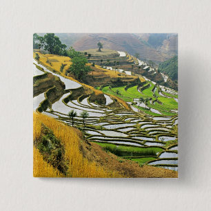 Chapa Cuadrada Asia, China, Yunnan, prefectura de Yuxi; Yuanjiang