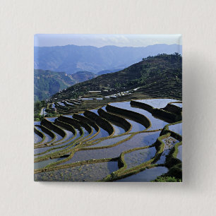 Chapa Cuadrada Asia, China, Yunnan, Yuanyang. Escabroso