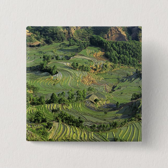 Chapa Cuadrada Asia, China, Yunnan, Yuanyang. Patrón verde 2 (Anverso)