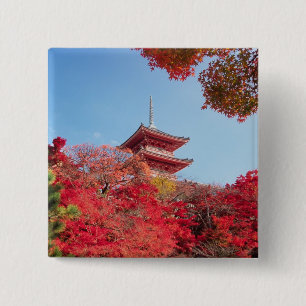Chapa Cuadrada Asia, Japón, Kioto. Color de otoño