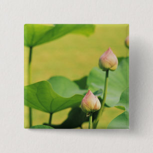 Chapa Cuadrada Asia, Tailandia, Bangkok. Gran Palacio, loto