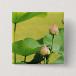 Chapa Cuadrada Asia, Tailandia, Bangkok. Gran Palacio, loto