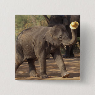 Chapa Cuadrada Asia, Tailandia, Lampang cediendo con el gorra - T