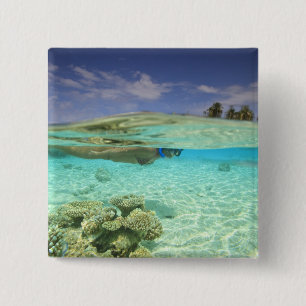 Chapa Cuadrada Atolón South Huvadhoo, Maldivas del Sur, Océano Ín