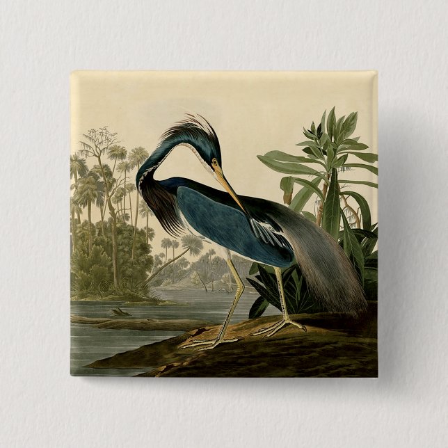 Chapa Cuadrada Audubon Louisiana Heron Water Bird (Anverso)