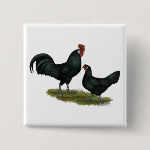 Chapa Cuadrada Augsburger Chickens
