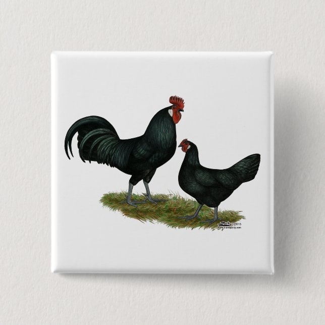Chapa Cuadrada Augsburger Chickens (Anverso)