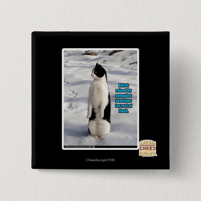 Chapa Cuadrada Aumentado por los pingüinos (Anverso)