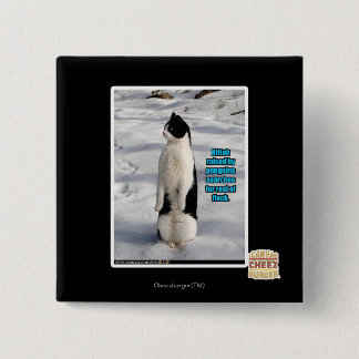 Chapa Cuadrada Aumentado por los pingüinos