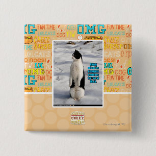 Chapa Cuadrada Aumentado por los pingüinos