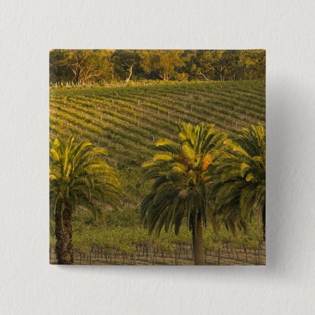 Chapa Cuadrada Australia, Australia del Sur, Valle de Barossa, (Anverso)