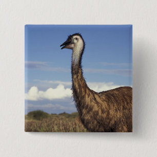 Chapa Cuadrada Australia, Australia Occidental. Emu (Dromaius)
