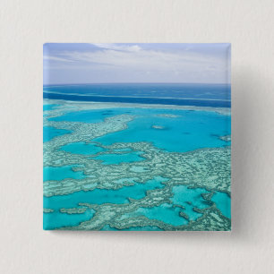 Chapa Cuadrada Australia, Queensland, Costa de Whitsunday, Gran 3