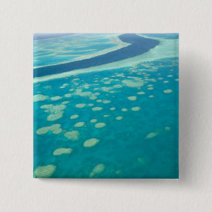 Chapa Cuadrada Australia, Queensland, Costa de Whitsunday, Gran 4