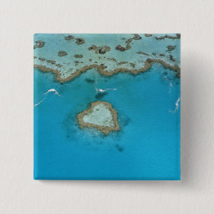 Chapa Cuadrada Australia, Queensland, Las Islas Whitsunday,