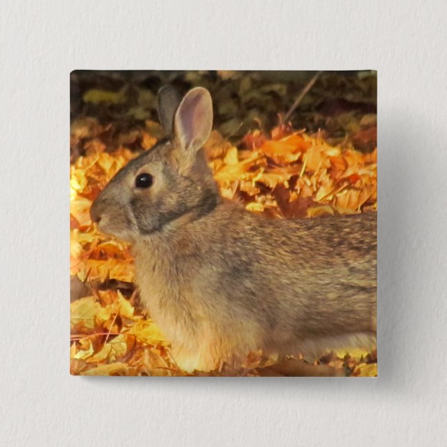 Chapa Cuadrada Autumn Bunny (Anverso)