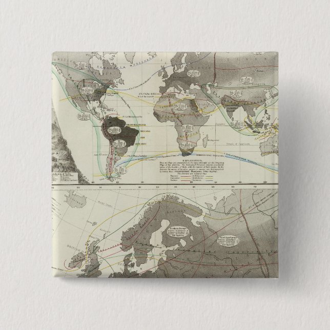 Chapa Cuadrada Aves, Aves (Anverso)