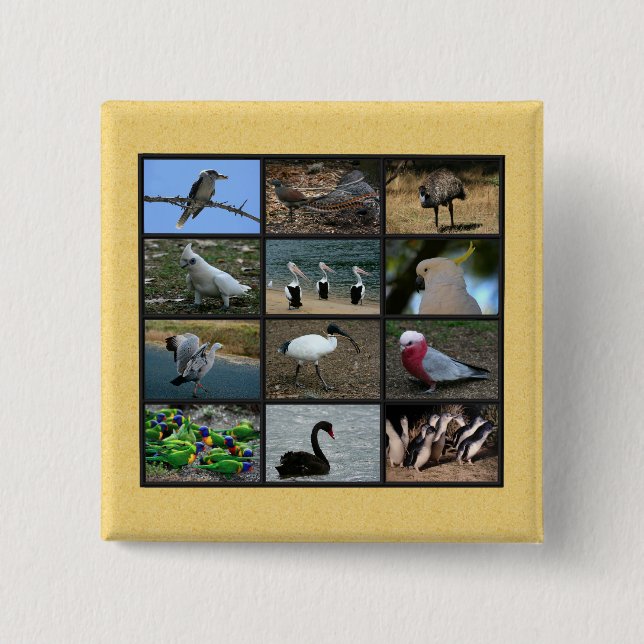 Chapa Cuadrada Aves de Australia (Anverso)