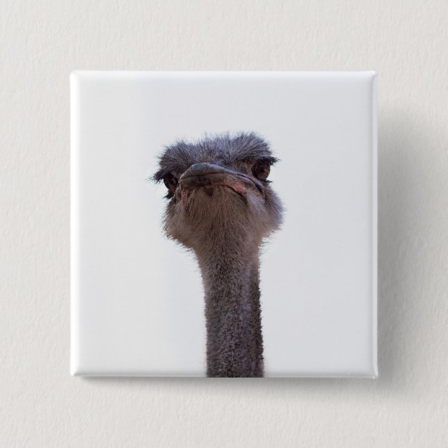 Chapa Cuadrada avestruz (Anverso)