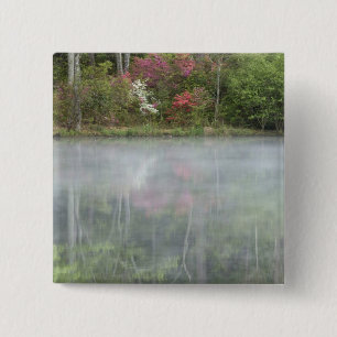 Chapa Cuadrada Azaleas reflejándose en un estanque durante tempra
