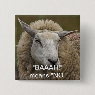 CHAPA CUADRADA ¡BAAAH!