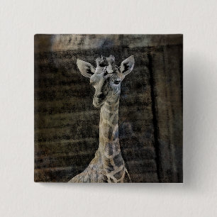 Chapa Cuadrada Baby Giraffe