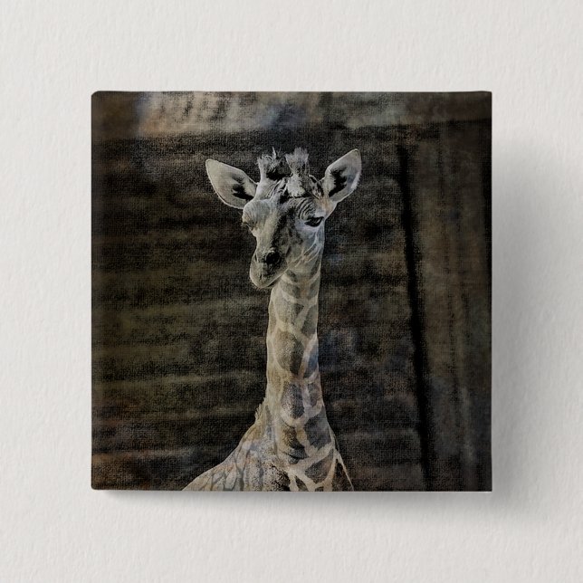Chapa Cuadrada Baby Giraffe (Anverso)