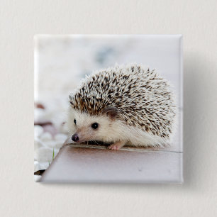 Chapa Cuadrada Baby Hedgehog
