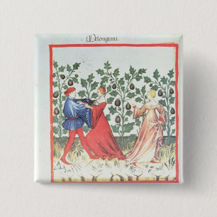 Chapa Cuadrada Bailarines delante de las plantas de la escoba,