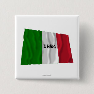 Chapa Cuadrada Bandera de Álamo