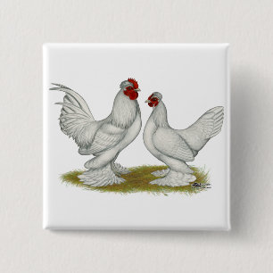 Chapa Cuadrada Bantams de Birmania