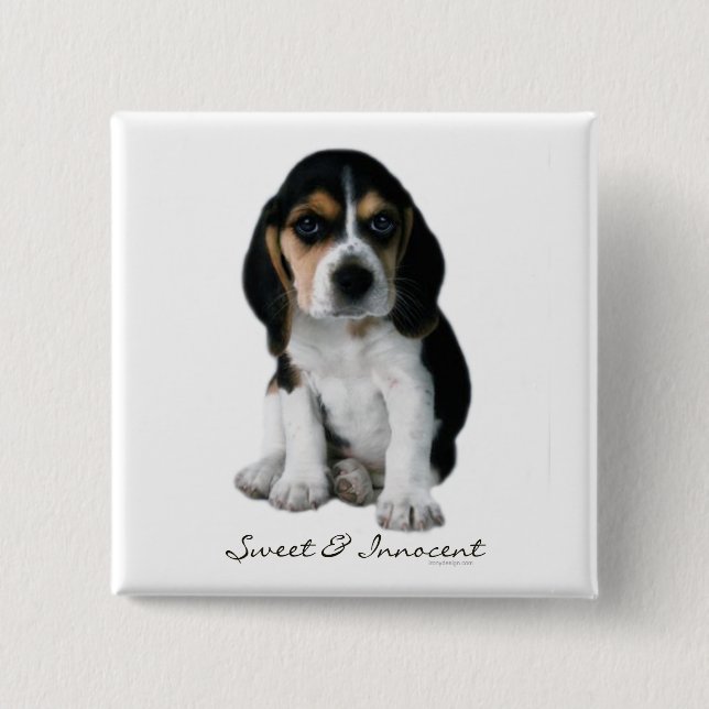 Chapa Cuadrada Beagle Puppy Dog Button (Anverso)