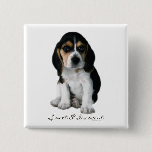 Chapa Cuadrada Beagle Puppy Dog Button