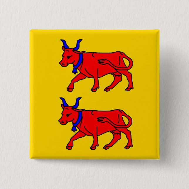 Chapa Cuadrada Bearn, bandera de Francia (Anverso)